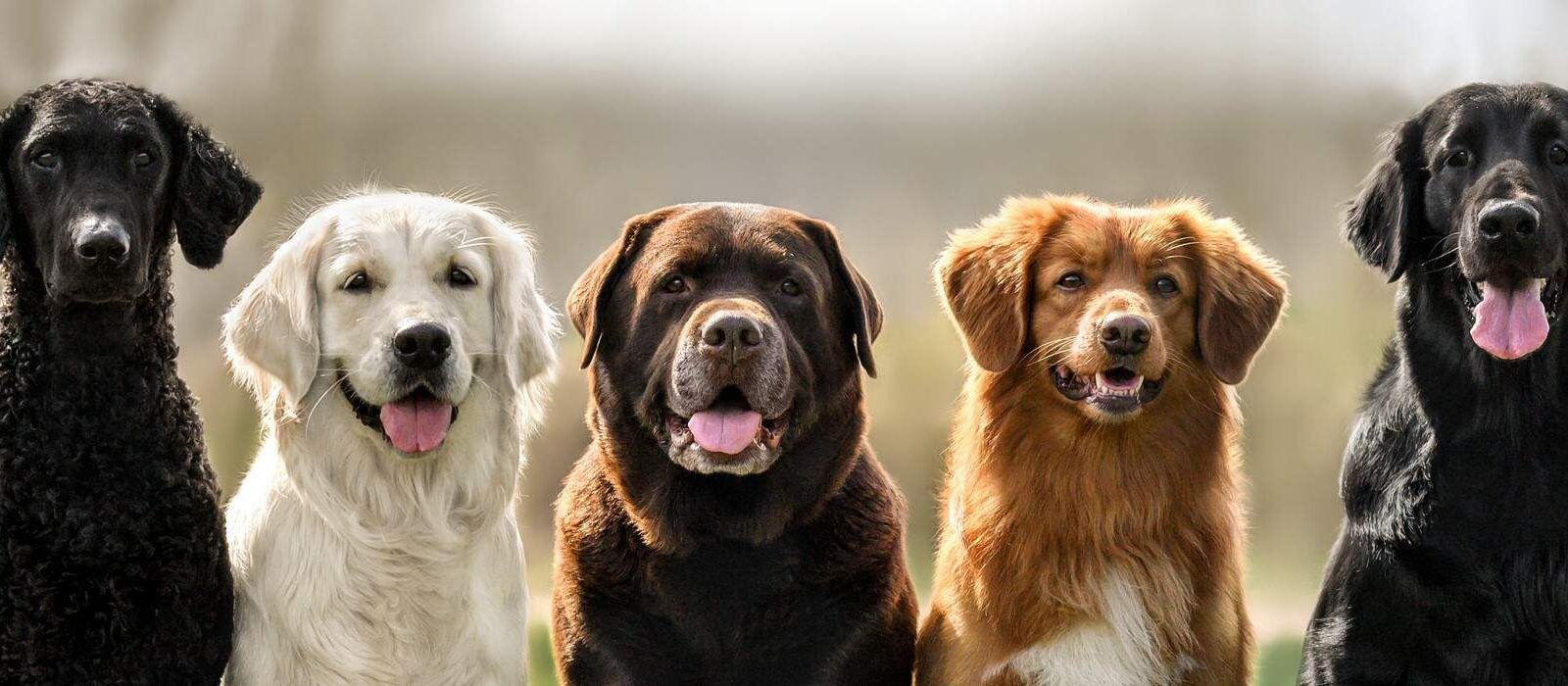 Creëer in 5 stappen je eigen tone of voice